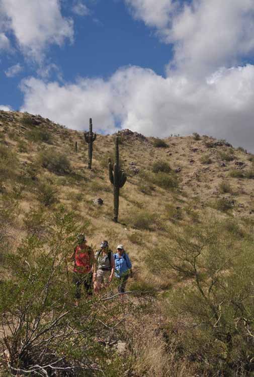 the hikers